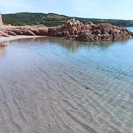 Seaview 26